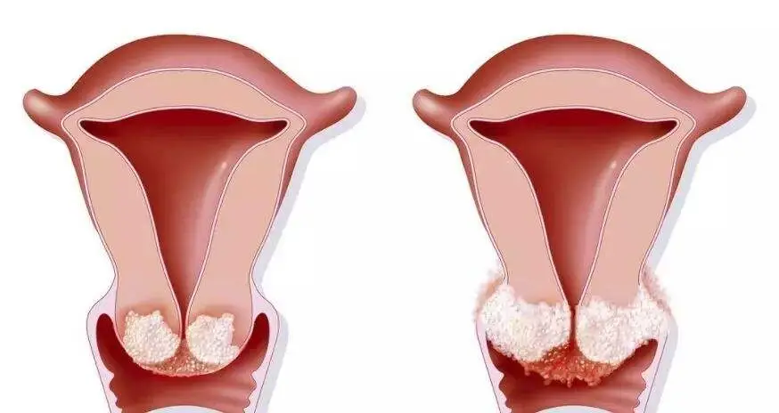 10 critical points from epic security manifesto inability